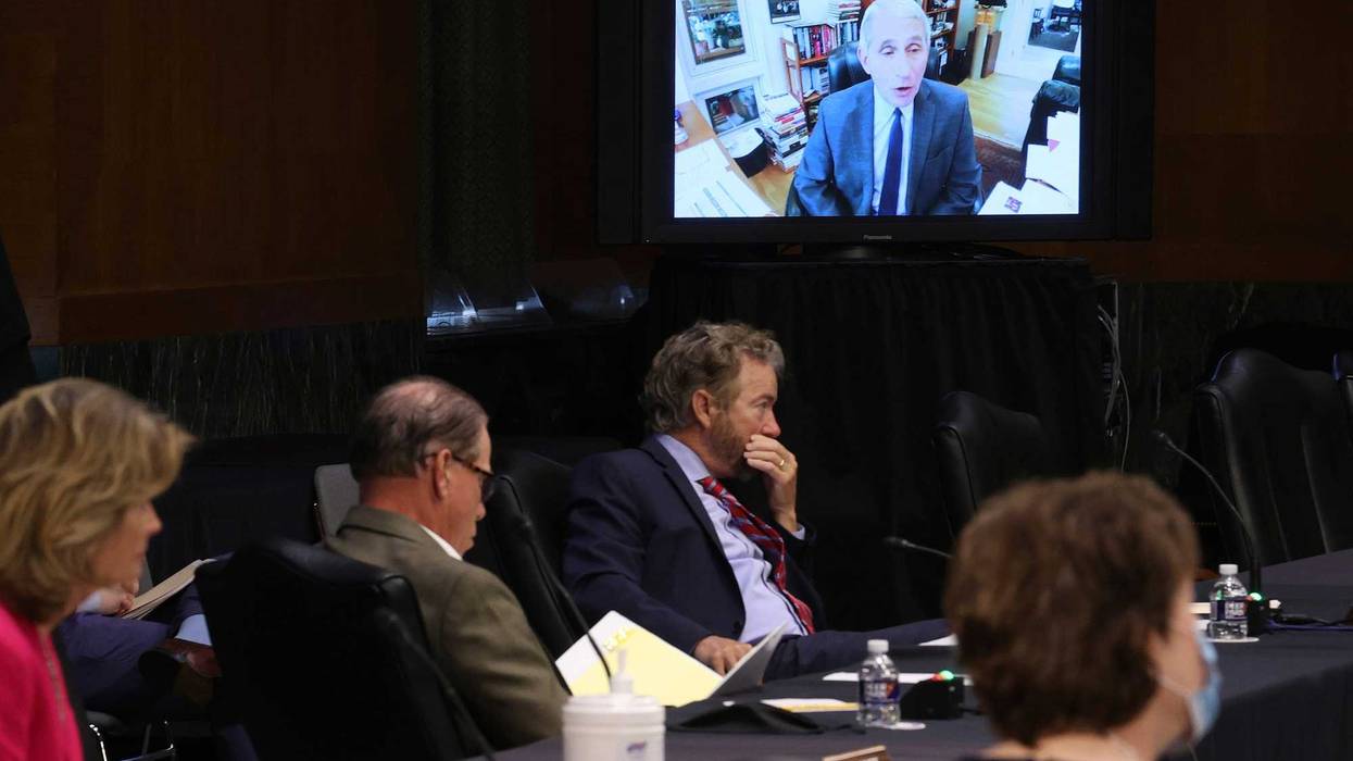 Anthony Fauci at Senate hearing