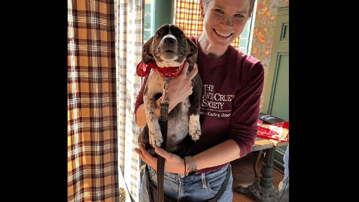 Anti-Cruelty Society