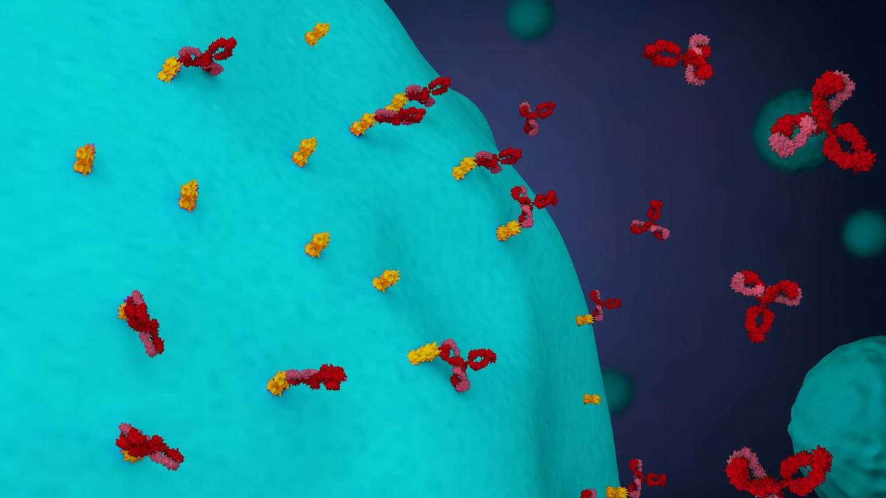 Antibodies attack cancer cells in this rendering.