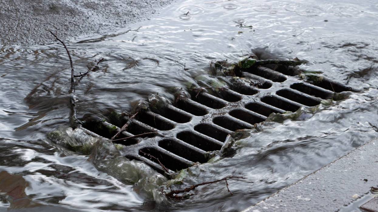 Anto Nichiporenko/Getty Images
