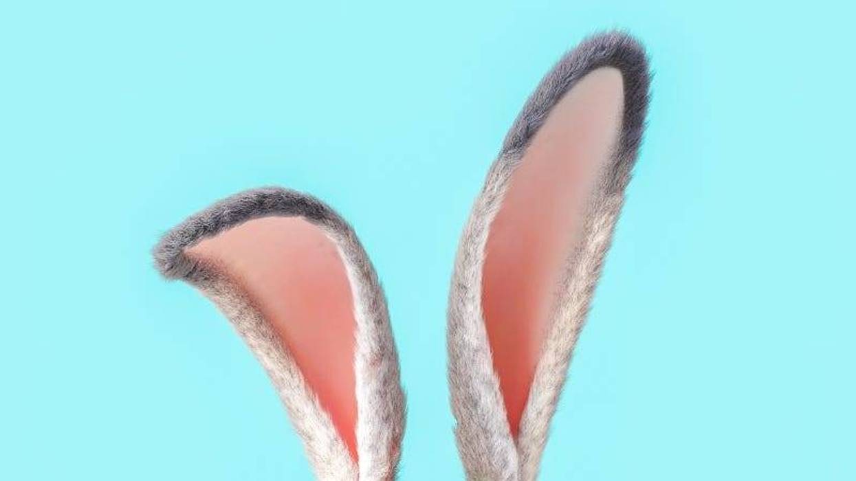 AntonioSolano GettyImages