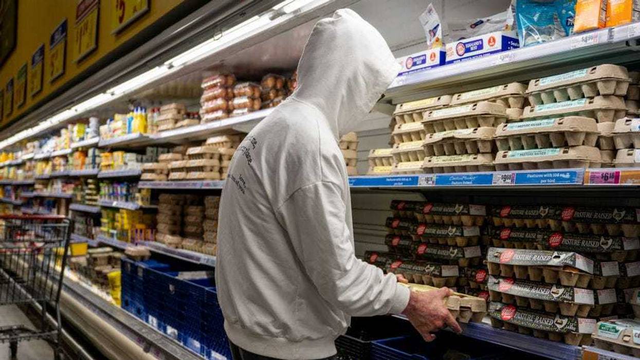 Are egg producers inflating prices during the bird flu outbreak to boost profits?