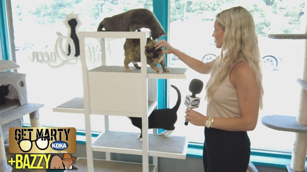 Arianna Bazzy pets several rescue cats