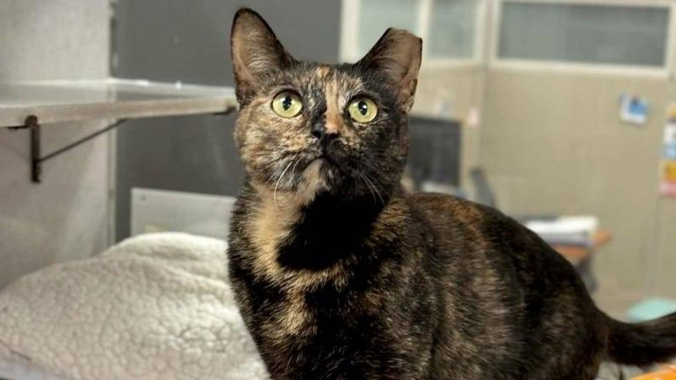Ariel @ Austin Humane Society 5/08/24