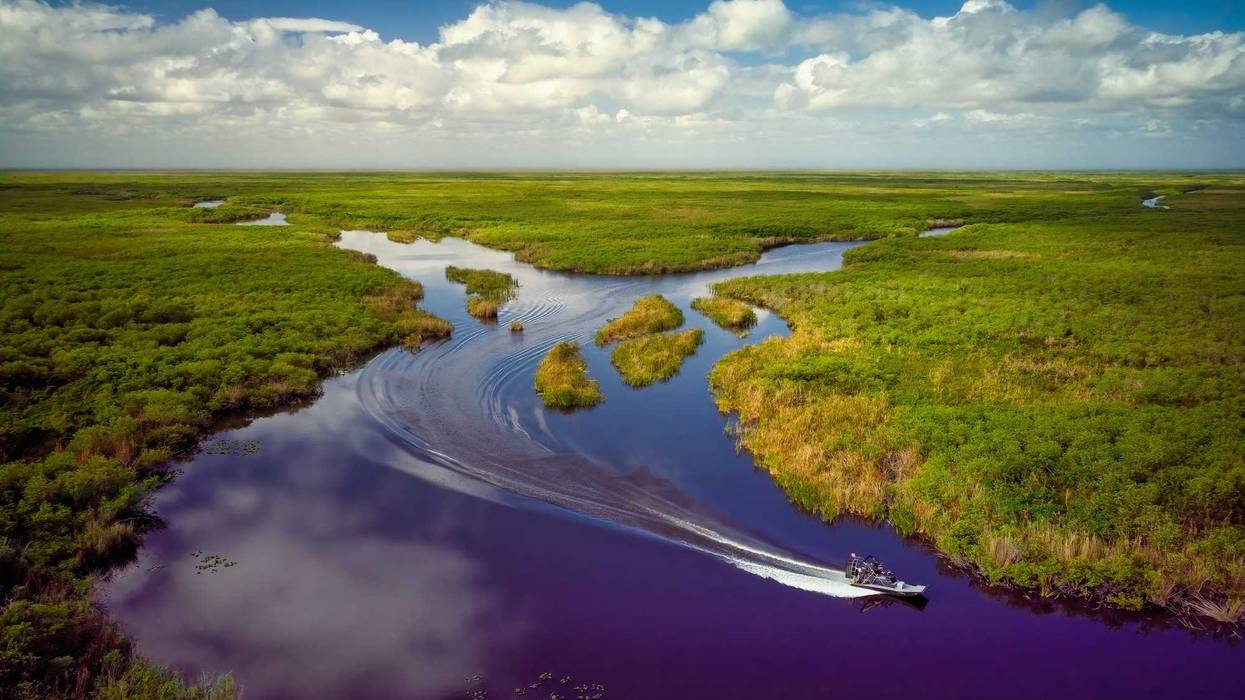 Ariel view of the Everglades.