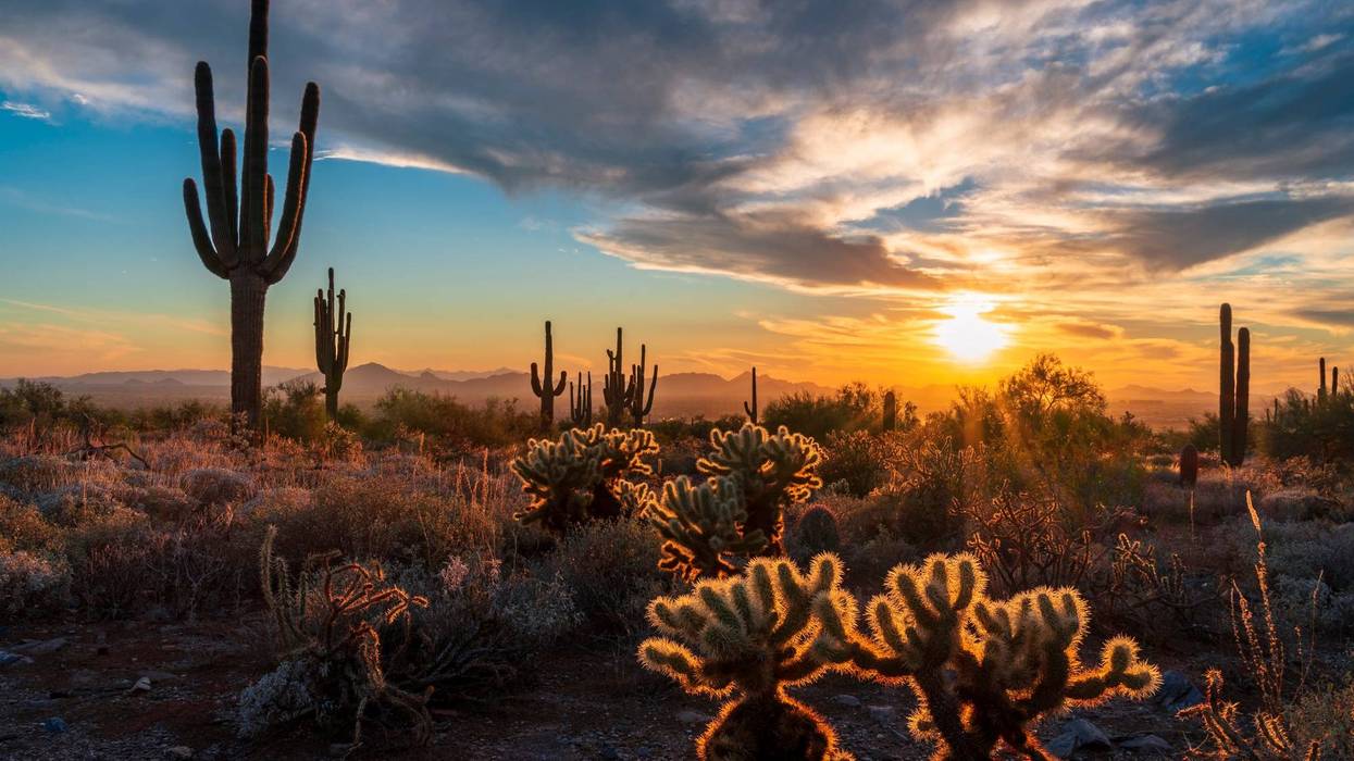Arizona Desert
