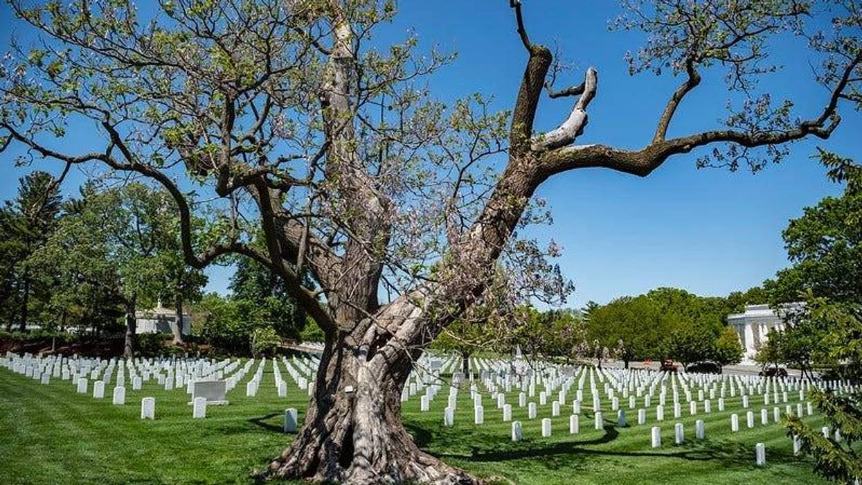 Arlington National Cemetery