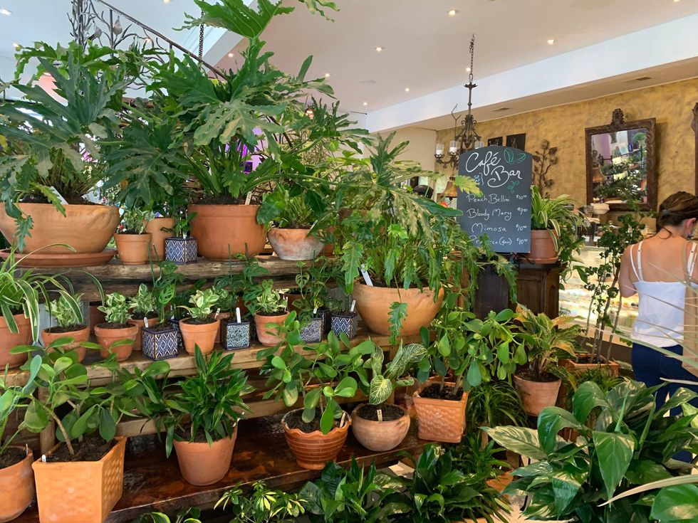 Artesano Cafe and Bistro