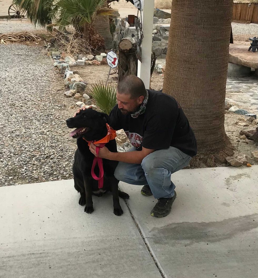 ASPCA