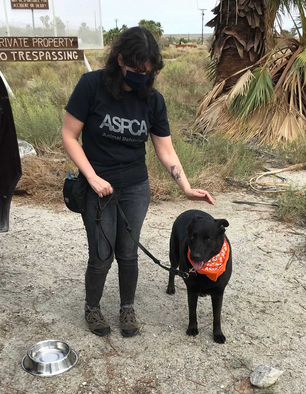 ASPCA