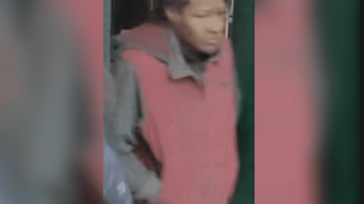 Attempted Brooklyn kidnapper