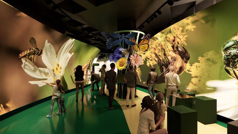Audubon Insectarium "pollinators hall"