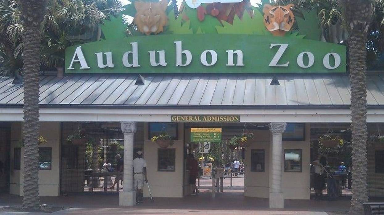 Audubon Zoo