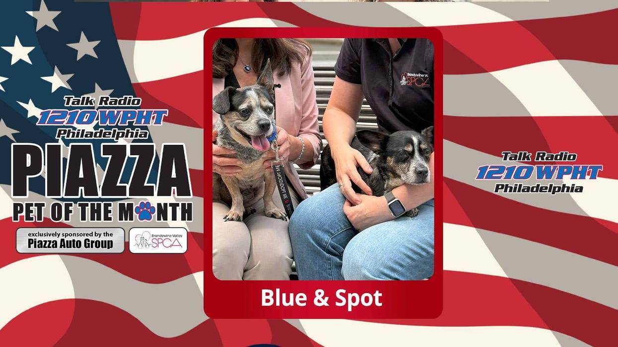 August 2025 – Piazza Pet of the Month