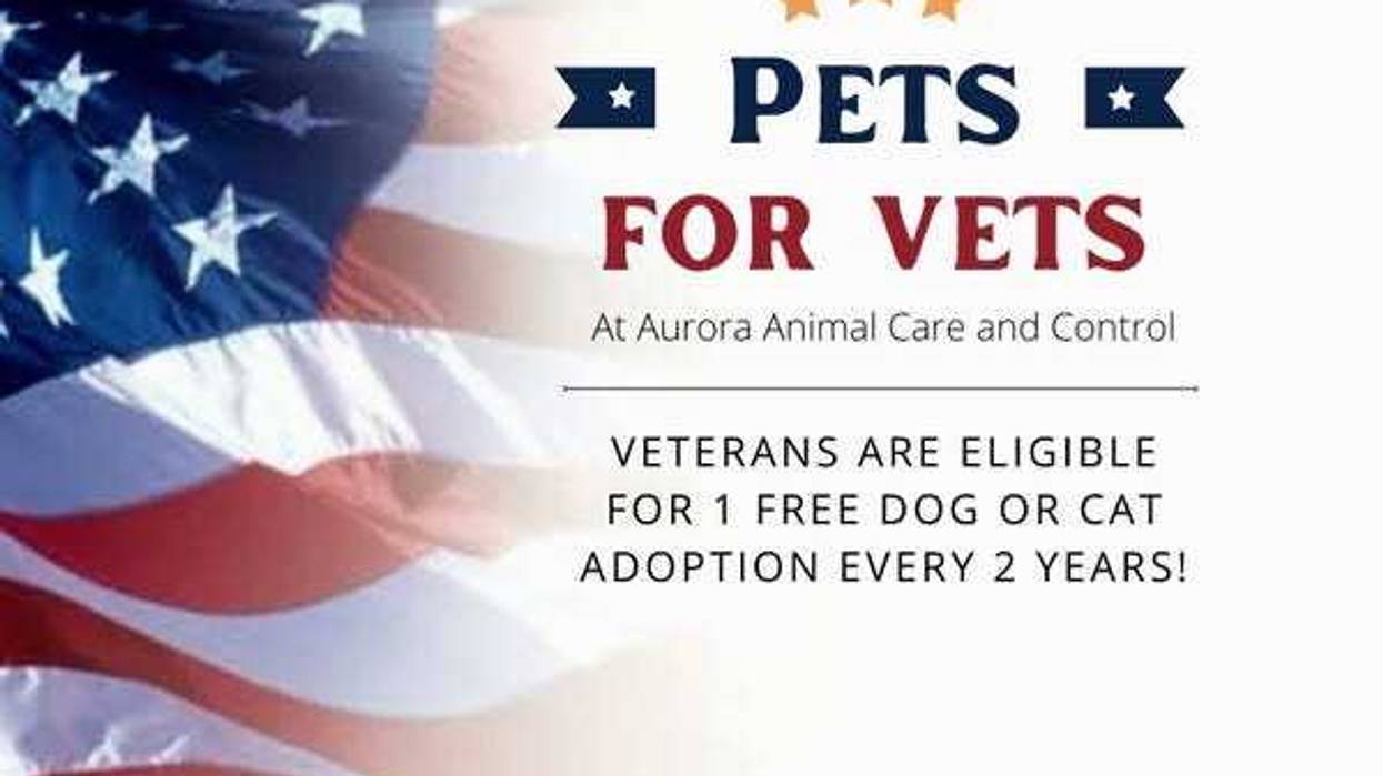 Aurora Animal Care and Control is honoring Illinois veterans with a new “Pets for Vets” program that waives adoption fees on one cat or dog every two years for those who’ve served.