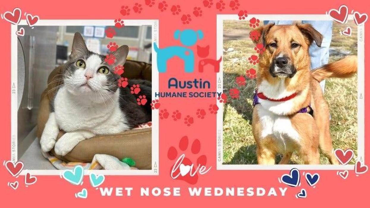 Austin Humane Society 2/05/25