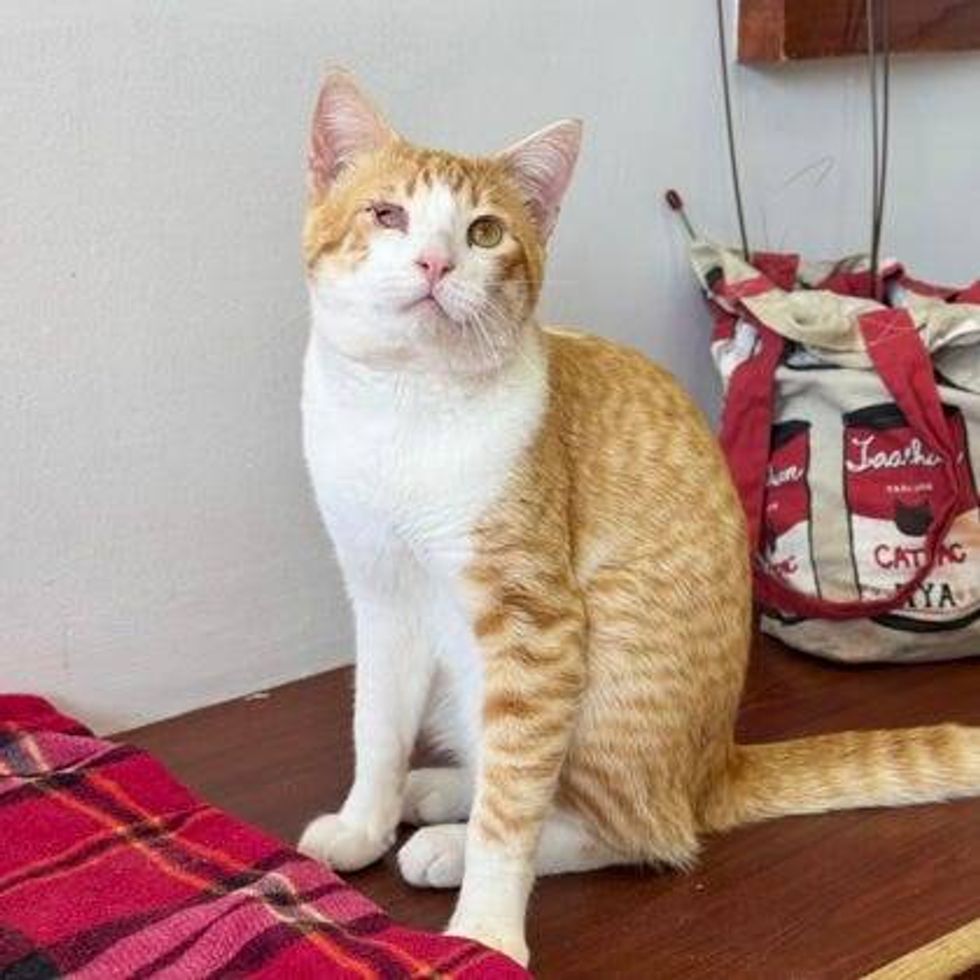 Austin Humane Society