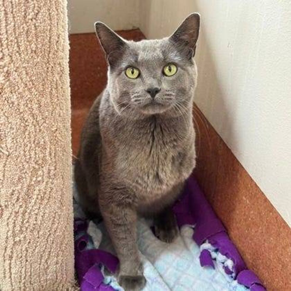 Austin Humane Society