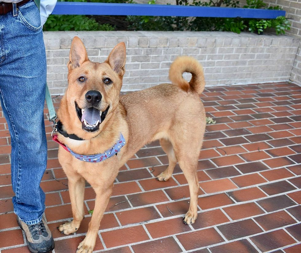 Austin Humane Society