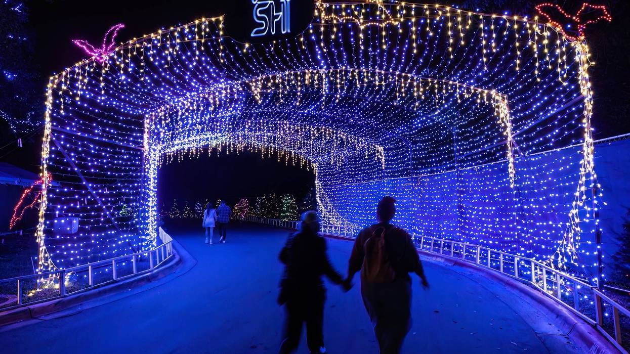 Austin Trail of Lights