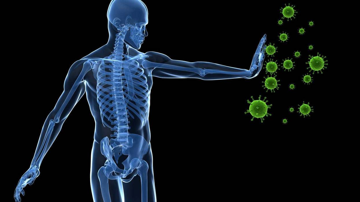 Author Matt Richtel defines our immune system