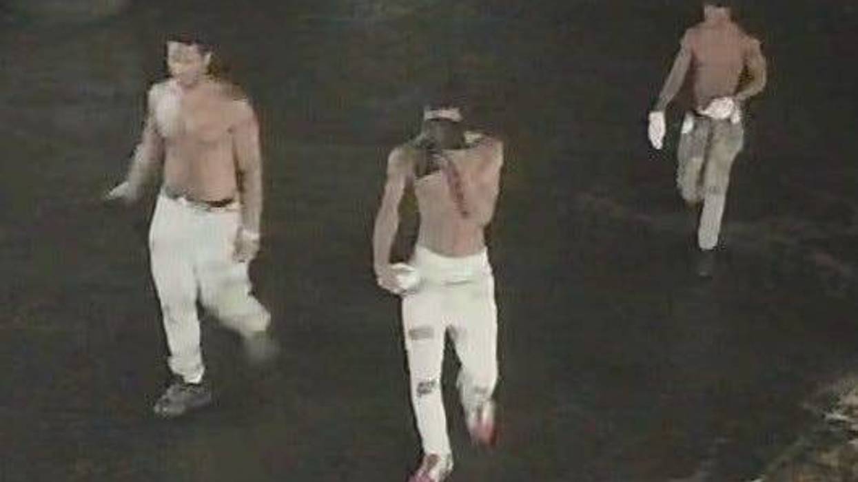 Authorities in Metro Detroit are on the lookout for thieves behind an alleged 'smash and grab' scheme that saw dozens of handguns and rifles stolen from two businesses in the last 48 hours.