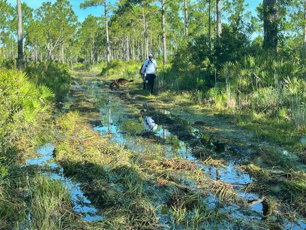 Authorities searching the Carlton Reserve in Florida for Brian Laundrie, a person of interest in the dissapearance of his fiancée Gabby Petito.