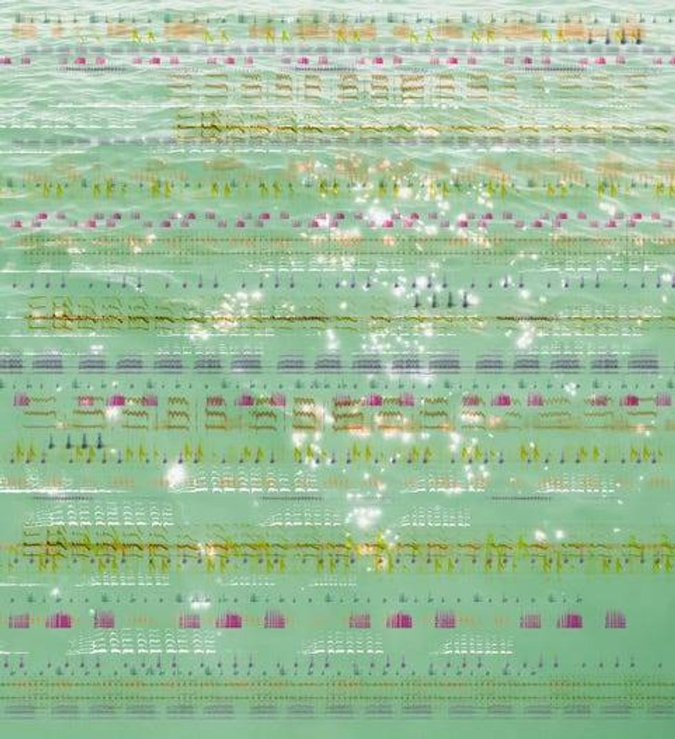 "Avian Listening," art-glass installation, which will be inside the Bryn Mawr Station.