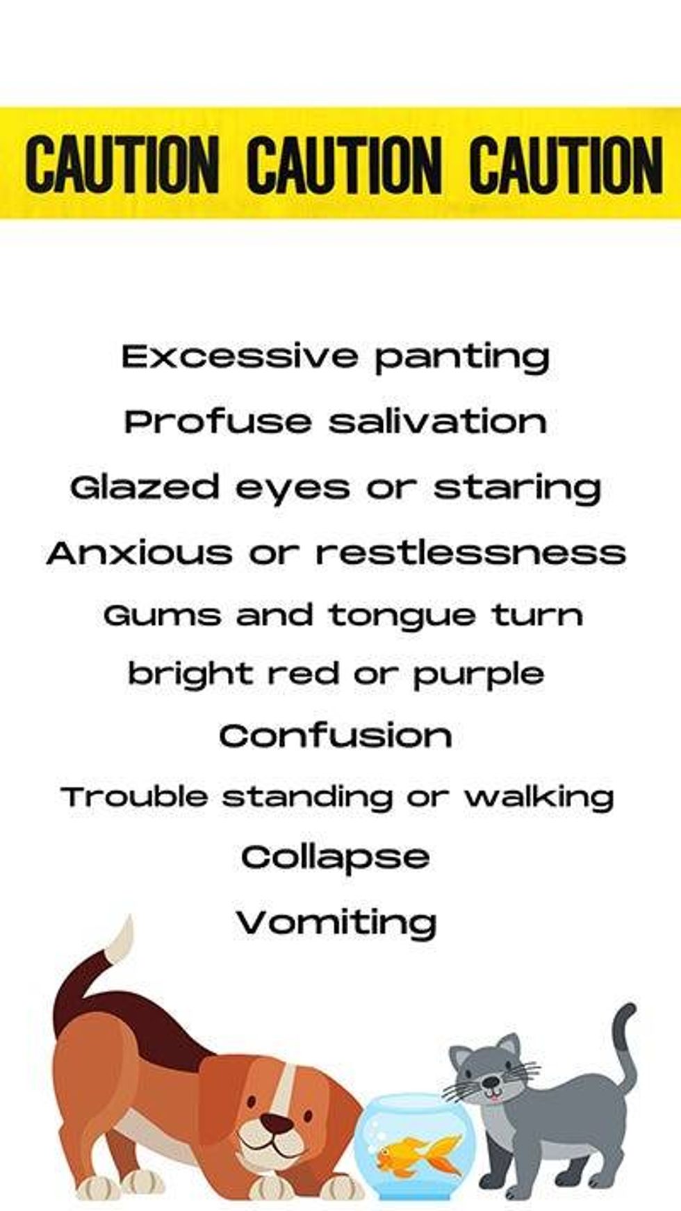 Avoid Heat Stroke in Pets