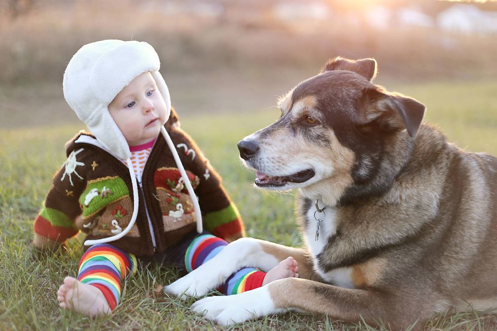 Baby loves their puppy