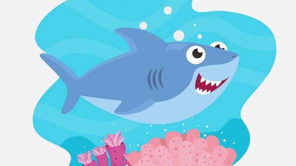 baby shark