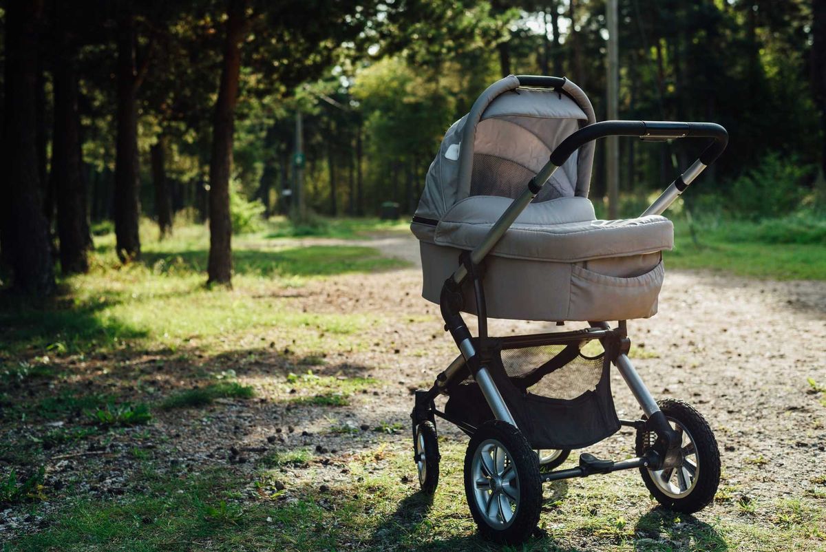Baby stroller in forest at sunny day