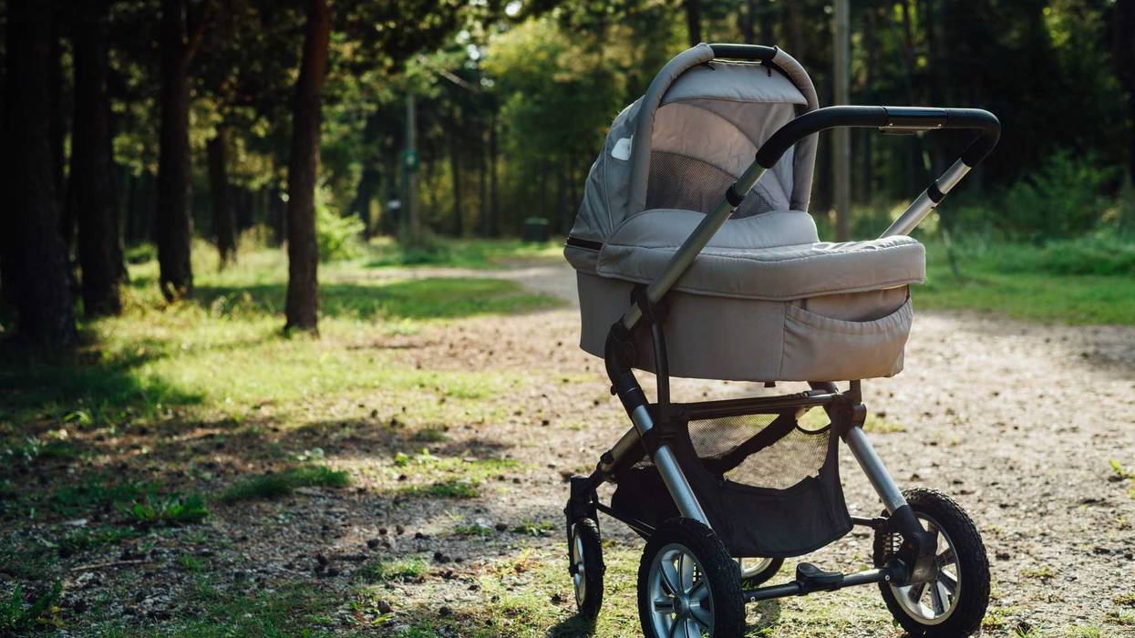 Baby stroller in forest at sunny day
