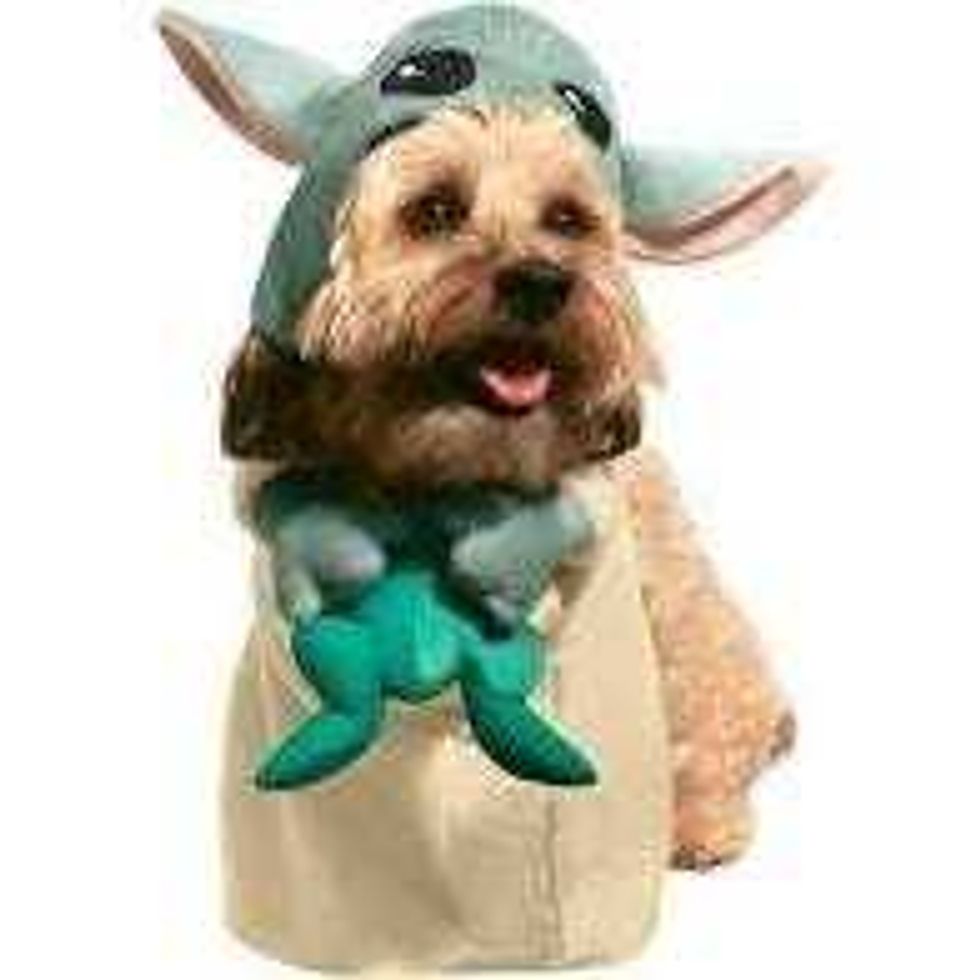 Baby Yoda dog costume