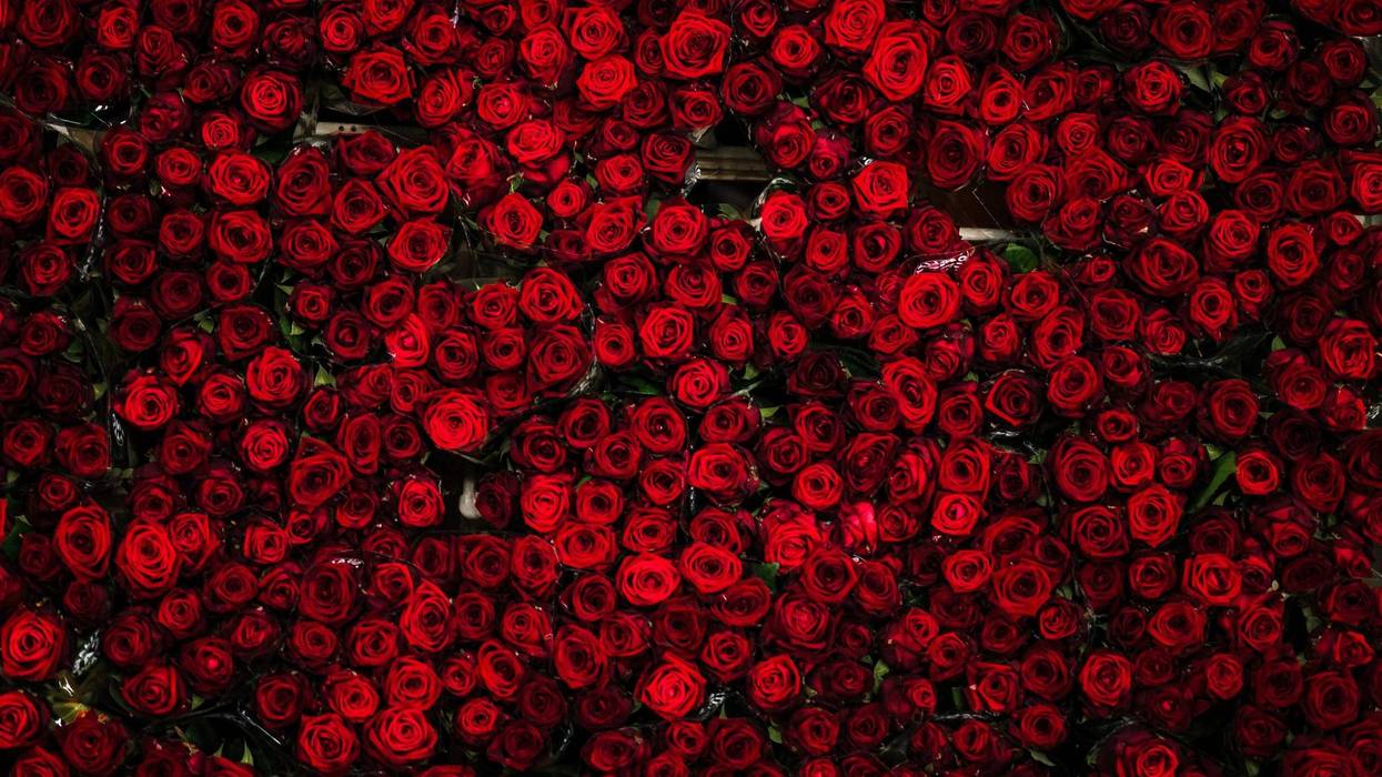 'Bachelor' Star Peter Weber Returns Home After New Season