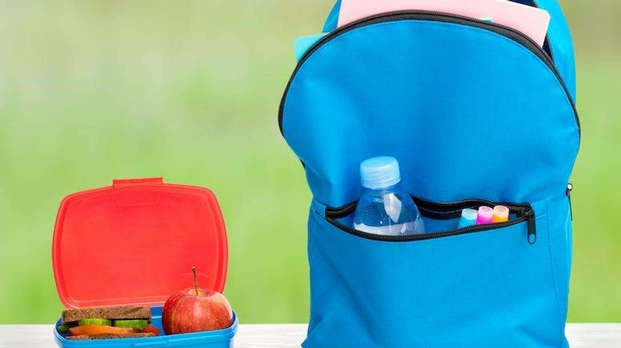 Backpack, Meal, School Lunch, Lunch