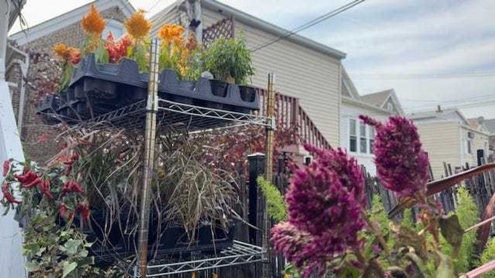 backyard of Jodi Richman