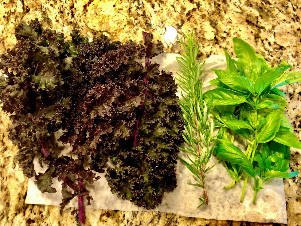 Bacon and Sausage Frittata with Purple Kale, Cheeses and Herbs