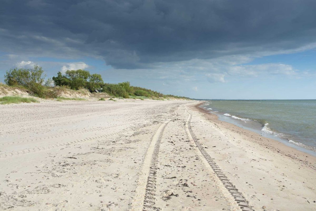 Baltic sea shore (sand dunes, beach) on a clear summer day