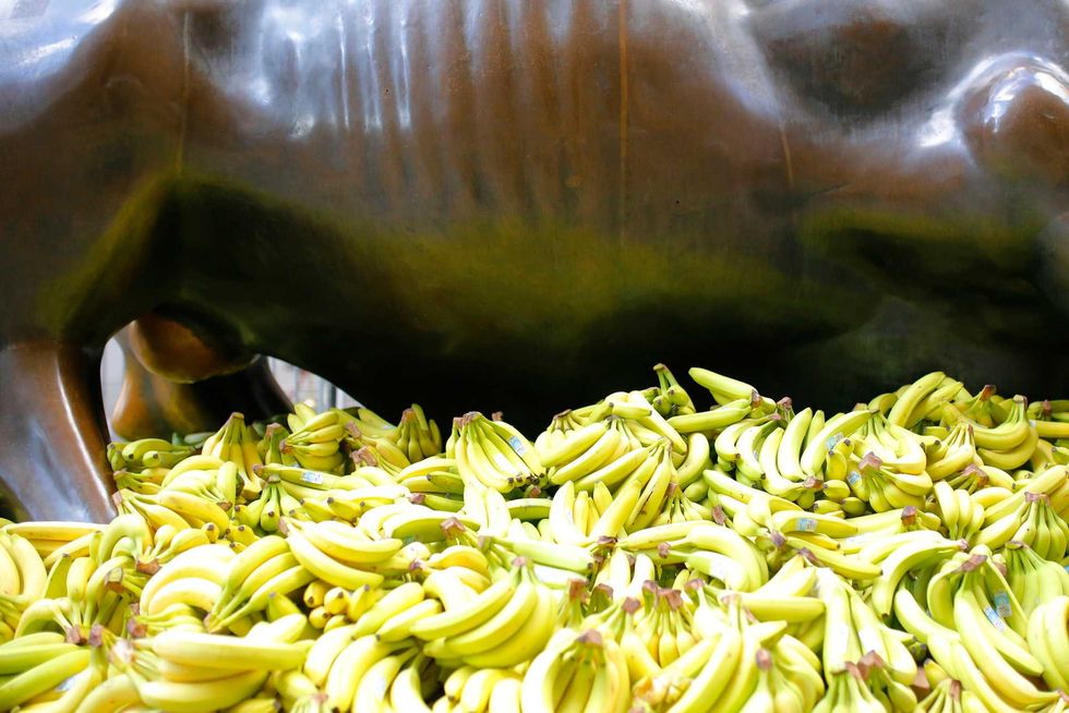 Bananas are seen covering the base of the Charging Bull statue on October 18, 2021 in New York City
