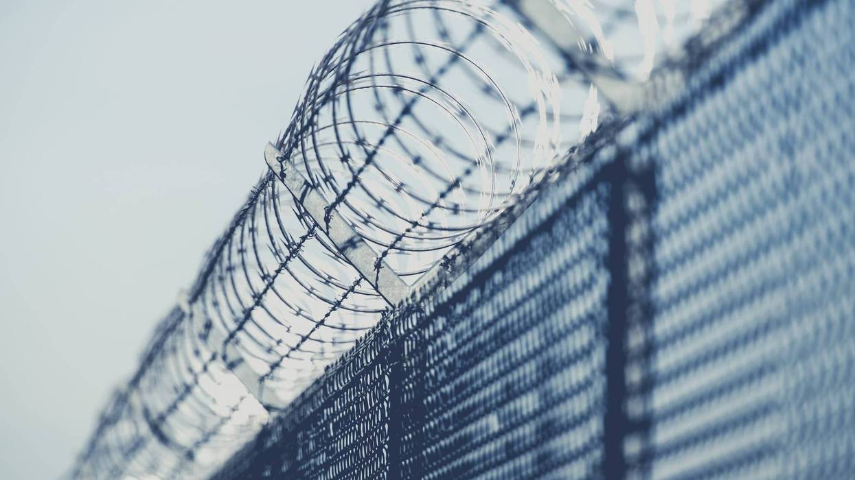barbed wire fence
