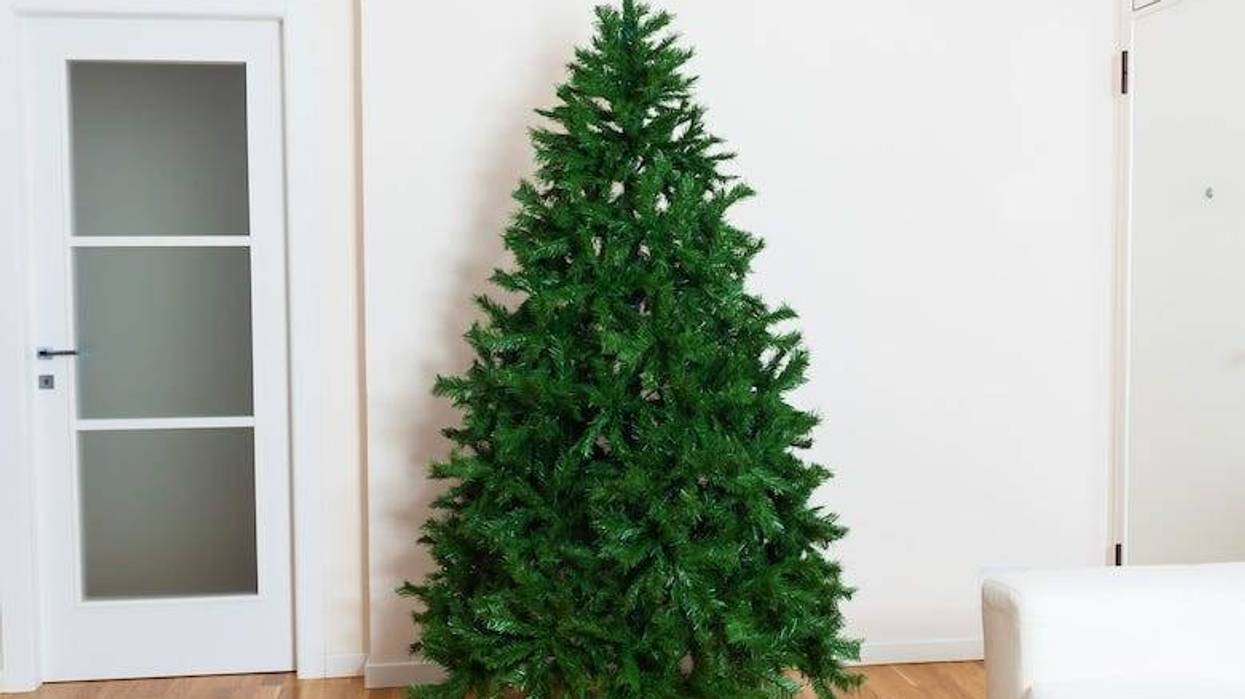 Bare Christmas tree in a living room