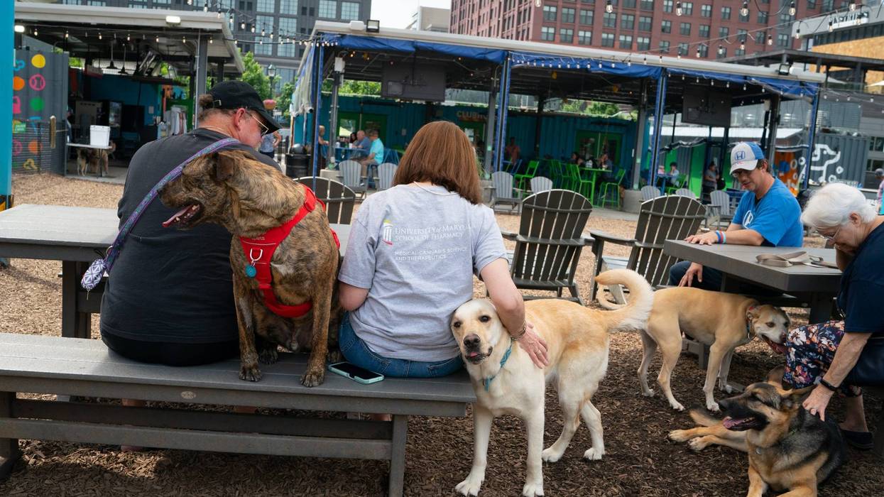 Bark Social