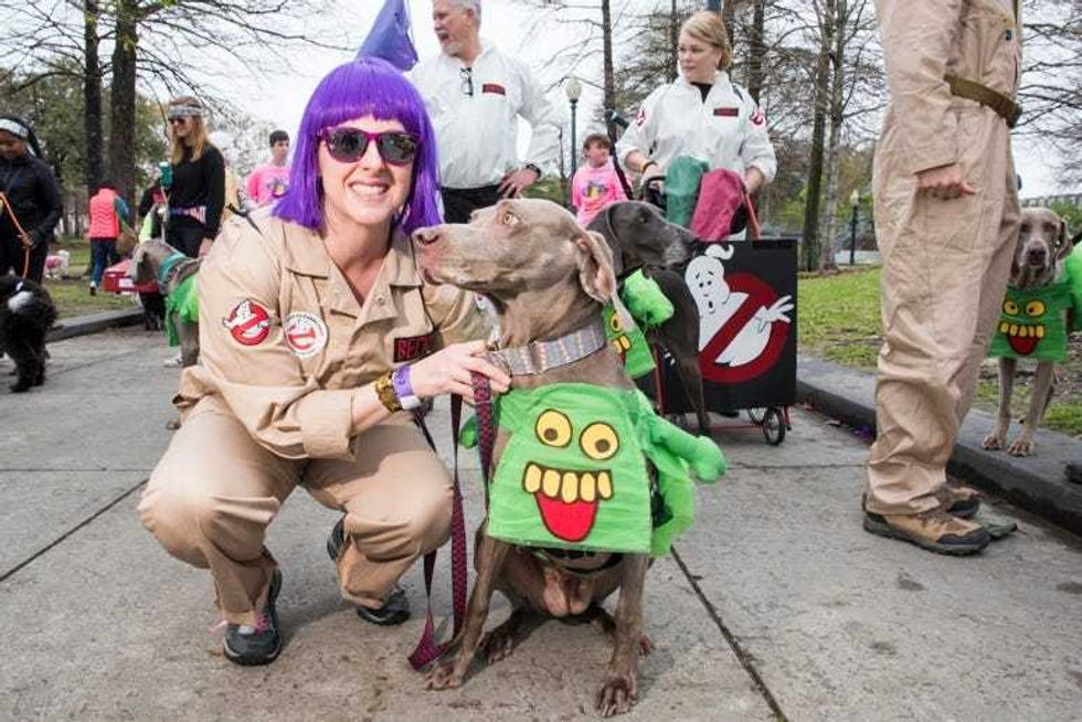 Barkus