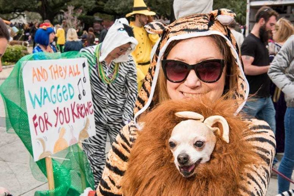 Barkus