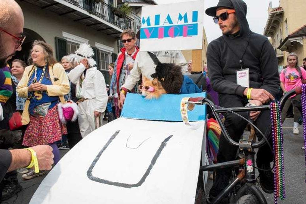 barkus