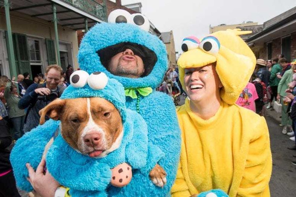 barkus