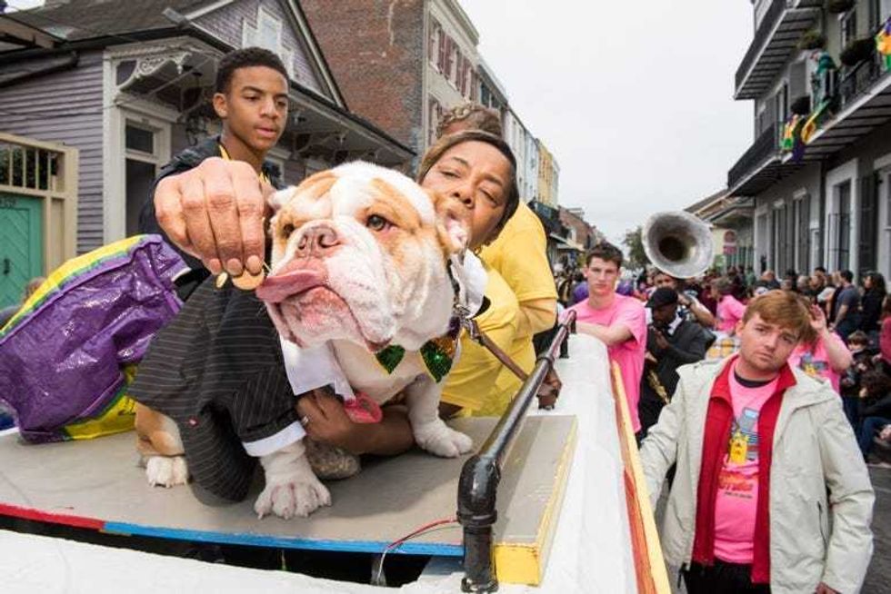 barkus