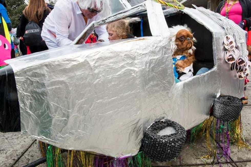 Barkus