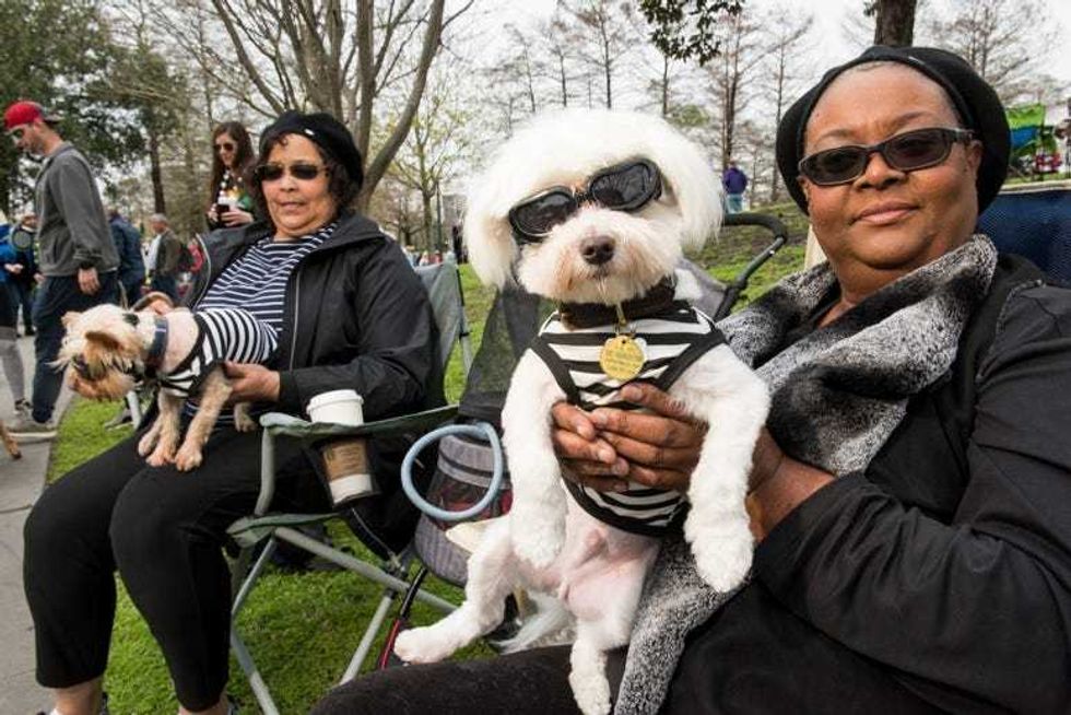 barkus